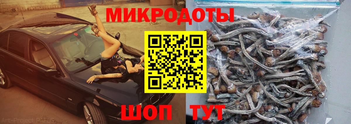 Псилоцибиновые грибы Magic Shrooms Подольск