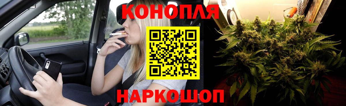 Конопля марихуана Подольск